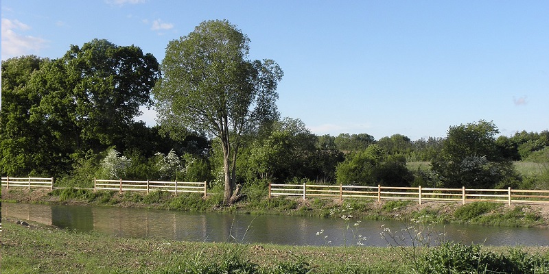 Natur i Kjellerup af Dorrit Hvam