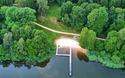 Naturen i din baghave