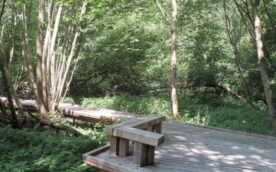 Kunst i Krabbes Grønne Ring