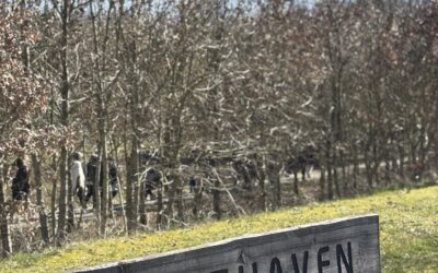 Pausesteder på ruten