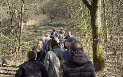 Skattejagt i Krabbes Grønne Ring