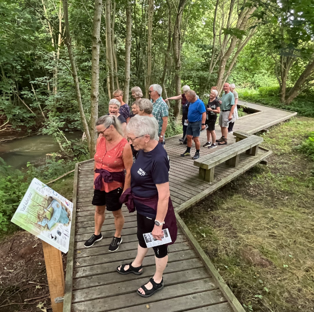 Krabbes grønne ring af Dorrit Hvam